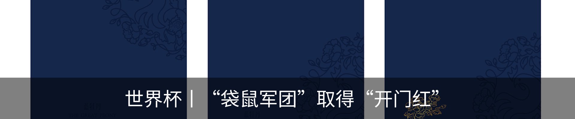 最新动态