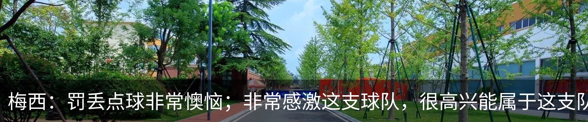 最新动态